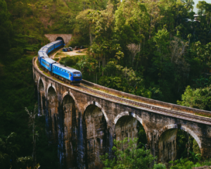7-Day Best of Sri Lanka