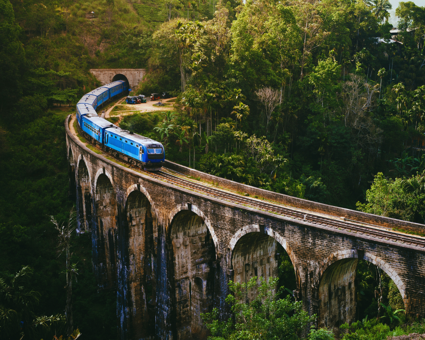 7-Day Best of Sri Lanka